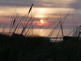 P1050219 ergebnis