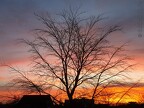2022 Februar Sonnenaufgang