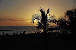 Bild_2018_1102_201312F